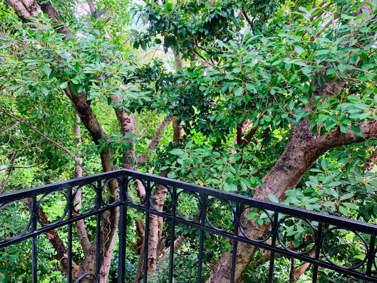 Villa Antilope Cancún Eksteriør bilde