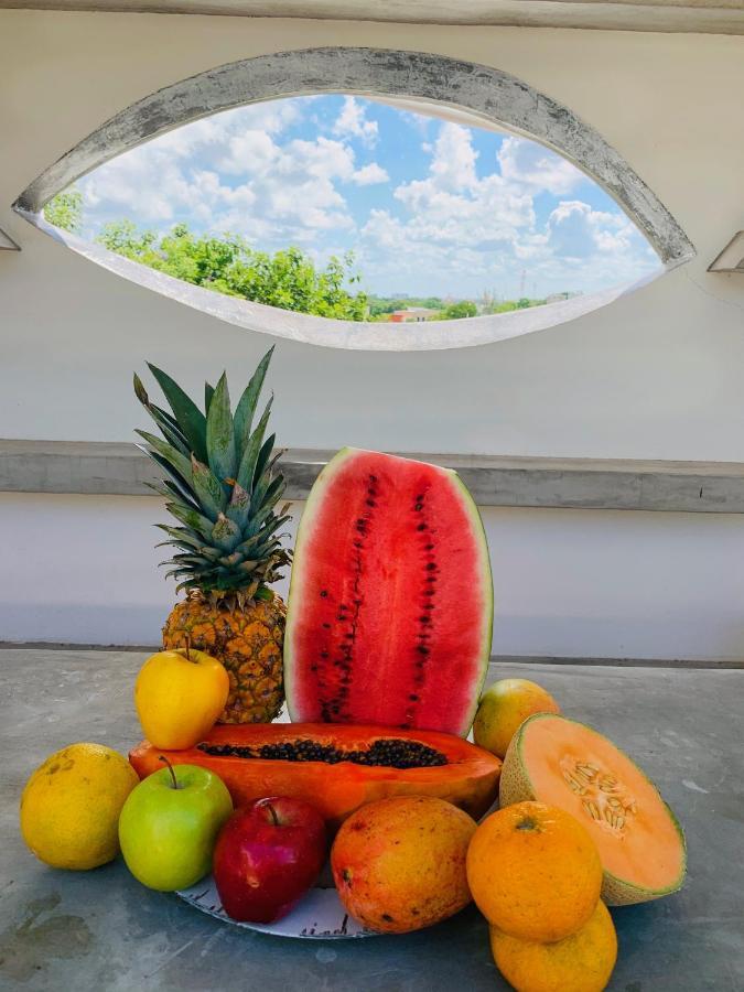 Villa Antilope Cancún Eksteriør bilde
